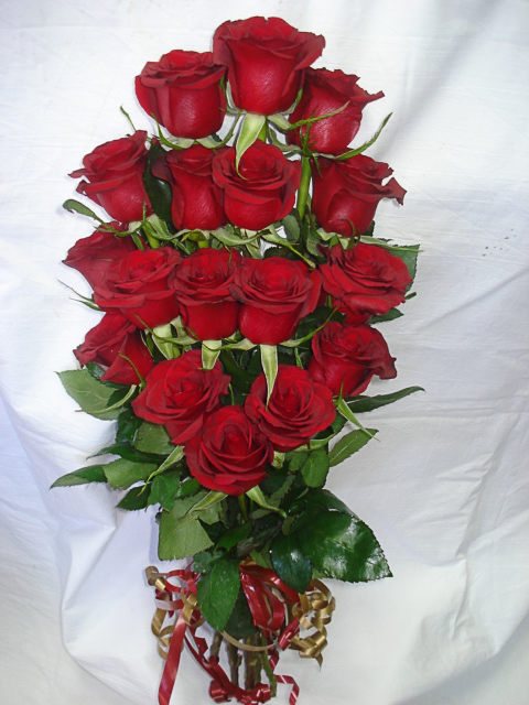 17 red roses