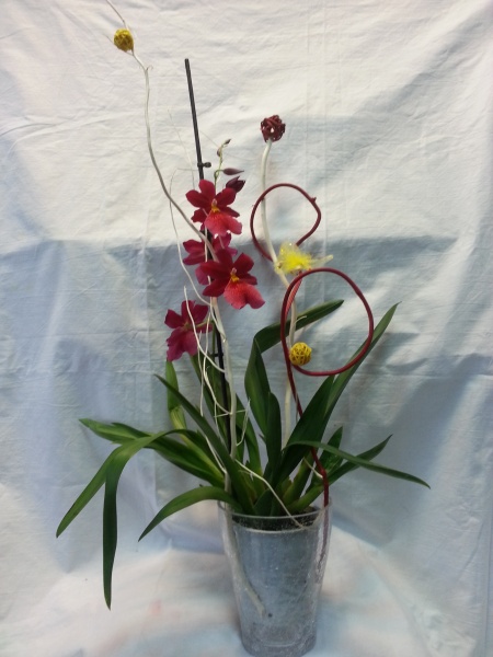 Аранжирана орхидея