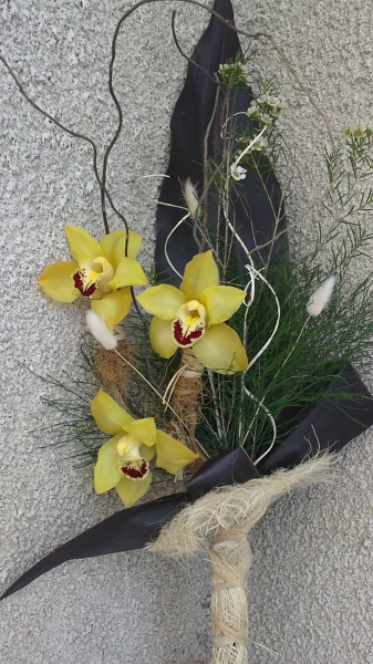 Дива орхидея