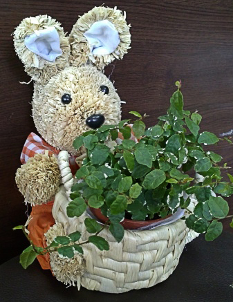 Basket with a Plant